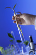 Green plants in biology laborotary