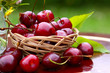 Sweet cherry