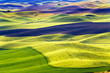 Green Fields Black Land Patterns Palouse Washington