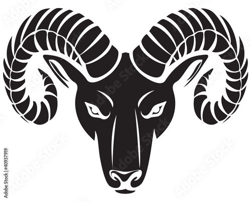 Vector: head of the ram head of the ram