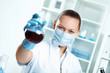 Young scientist working in laboratory