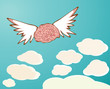 Fly brain