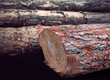 Heap of logs