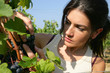portrait of woman observing a bunch of grapes
