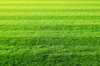 fussballwiese