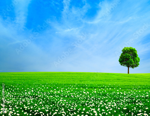 Photo: Abstract rural landscape. Green meadow under the blue skies Abstract rural landscape. Green meadow under the blue skies