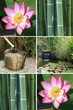 thème de l'eau et du jardin aquatique thème de l'eau et du jardin aquatique