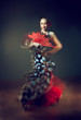 flamenco