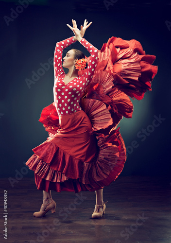 Photo: flamenco flamenco