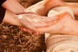 foot massage