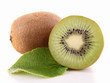 kiwi and leaf