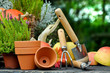 Gartenarbeit im Herbst