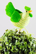 Easter decorative cock Easter decorative cock