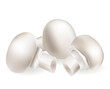 white mushroom