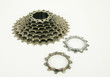 Bike Chain and Rear Cassette of a Mountain Bike