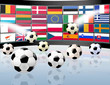Fussball Europameisterschaft