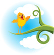Bird on branch