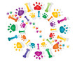 paw prints
