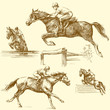 race horse race horse