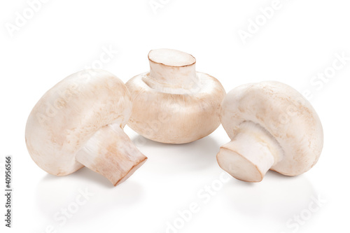 Photo: Fresh Mushrooms champignon Isolated on a white background Fresh Mushrooms champignon Isolated on a white background