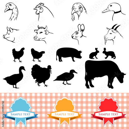 Vector: farm animals, vintage frame, labels food illustration farm animals, vintage frame, labels food illustration