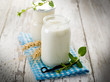 yogurt with vanilla stick and mint leaves