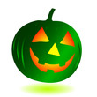green pumpkin vector green pumpkin vector