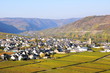 Trittenheim an der Mosel