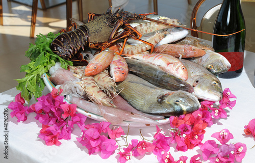 Foto: pesce pesce