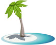 Palm