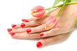 mano di donna con smalto rosso mano di donna con smalto rosso