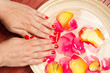 manicure manicure