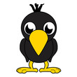 Little bird