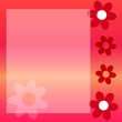 carte invitation cadre photo lettre fleur
