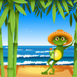frog on the beach