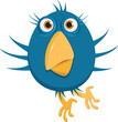blue bird