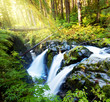 Sol Duc