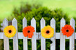 Blumen am Gartenzaun