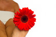 wellness und massage mit roter blüte horizontal