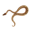 Ball python