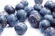 Fresh organic blueberries on white Fresh organic blueberries on white