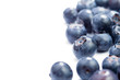 Organic blueberries on white Organic blueberries on white