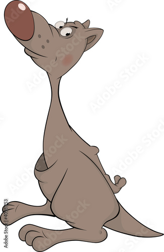 Vector: Kangaroo. Cartoon Kangaroo. Cartoon