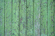 Green wood texture