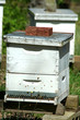 Beehive