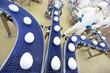 egg production line in gmo factory
