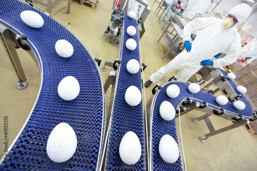 Foto: egg production line in gmo factory egg production line in gmo factory