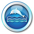Dolphin icon