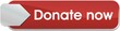 bouton donate now