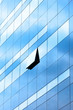 Foto: Corporate Building by Day Corporate Building by Day
